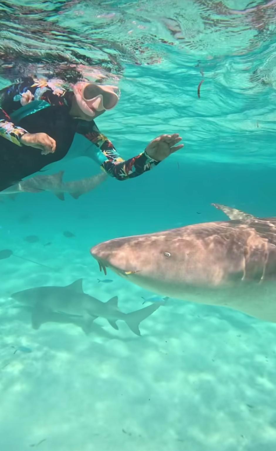 Hina Khan swims with sharks in the Maldivian sea