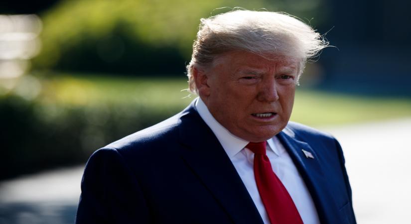 Medicine import tariffs may go up to 250 pc: Trump