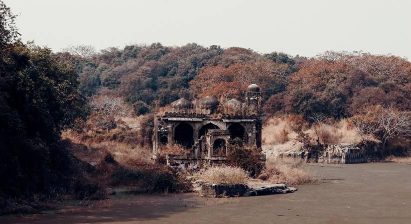 Rajasthan: Mobile phones banned during Ranthambore Safari under SC guidelines