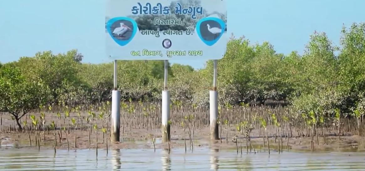 PM Modi highlights Gujarat's environmental efforts in 'Mann Ki Baat'