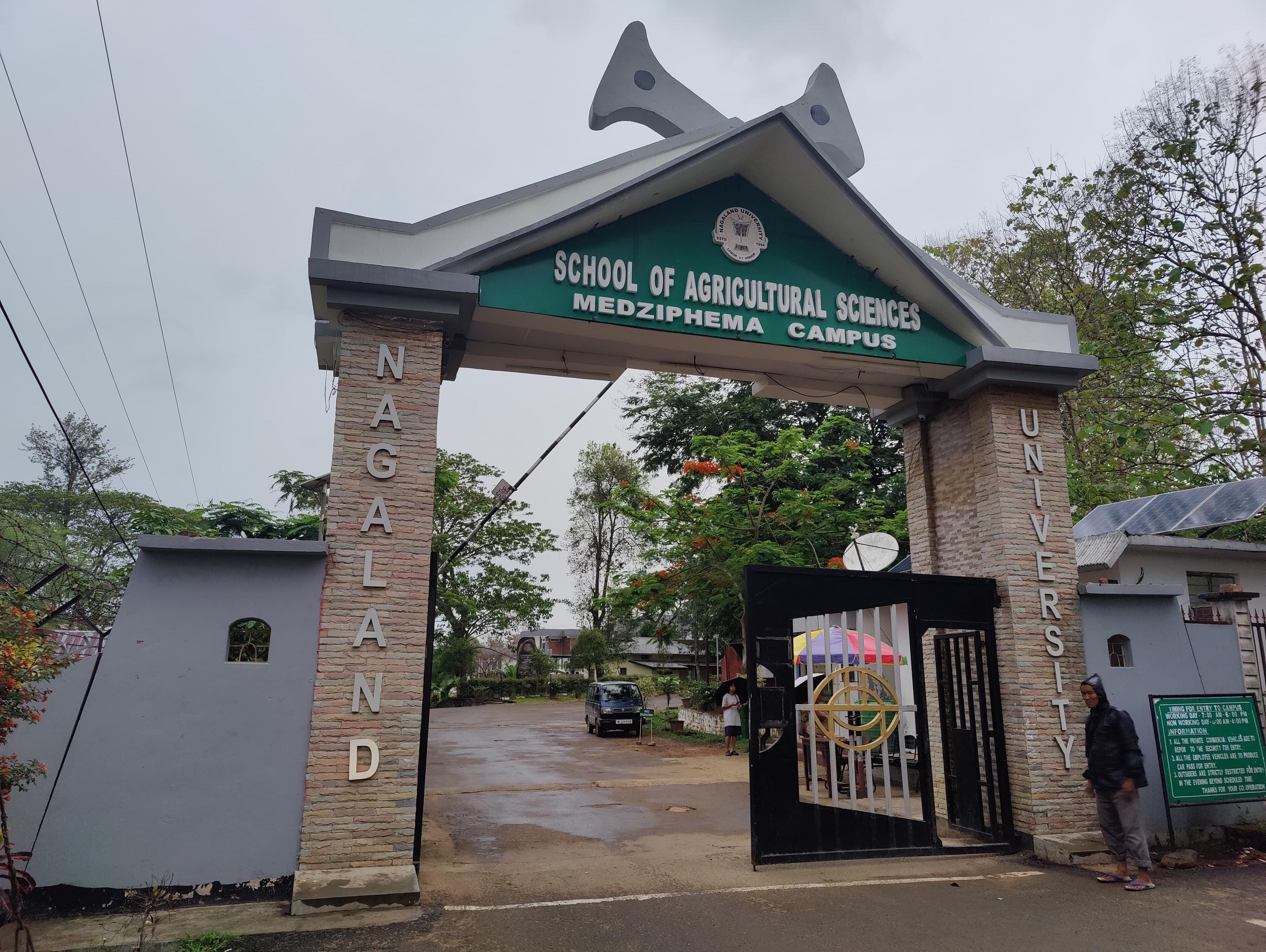 PG Programme in Rural Development and Management for students in North East