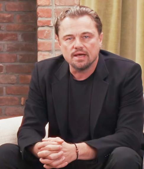 Leonardo DiCaprio on trying to 'balance' his personal, professional life