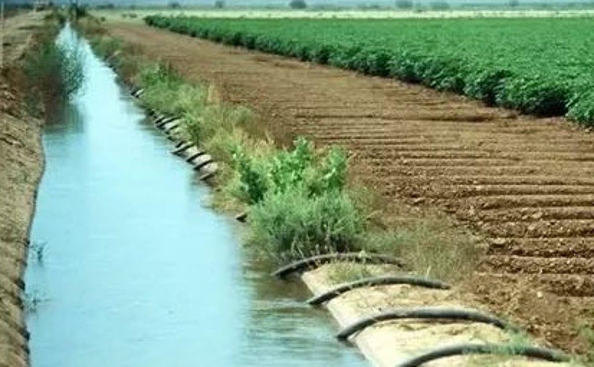 TN: Kangeyam, Vellakovil farmers announce June 24 stir for equitable water distribution
