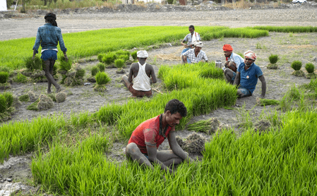 Inflation eases further in May for India’s farm and rural workers