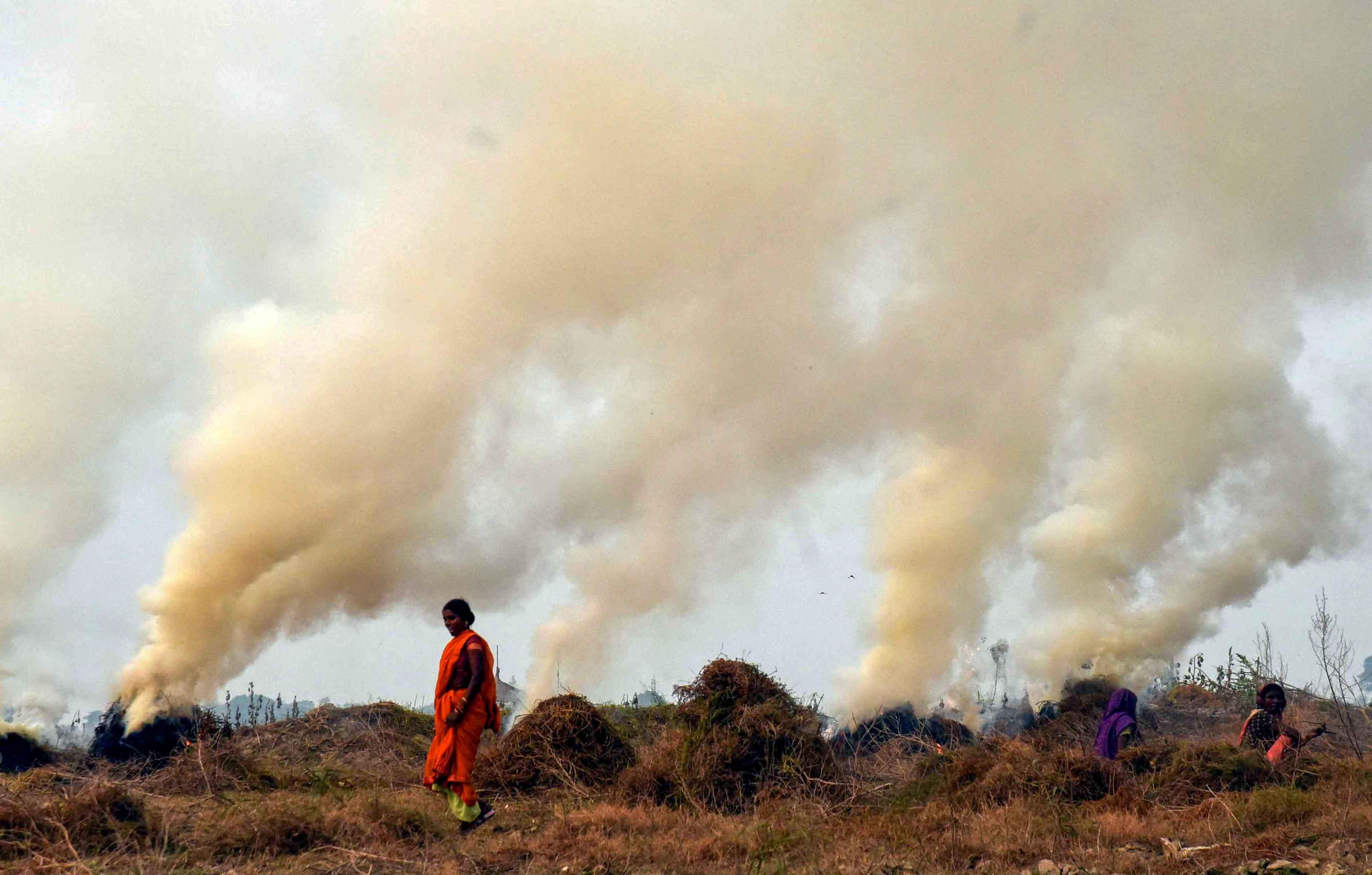 Consider arrests, strict action to curb stubble burning: SC to govt