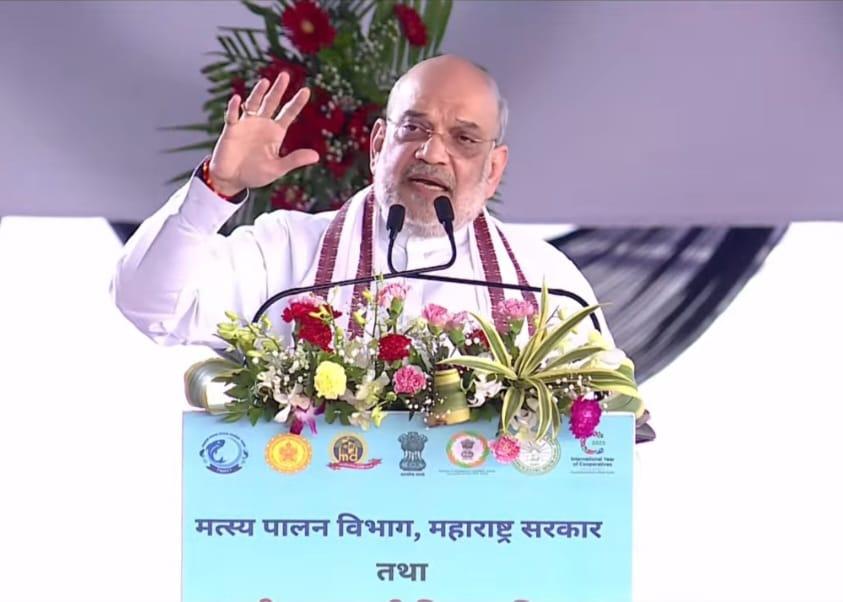 Deep-sea fishing vessels to fully utilise potential of India's fisheries wealth: Amit Shah