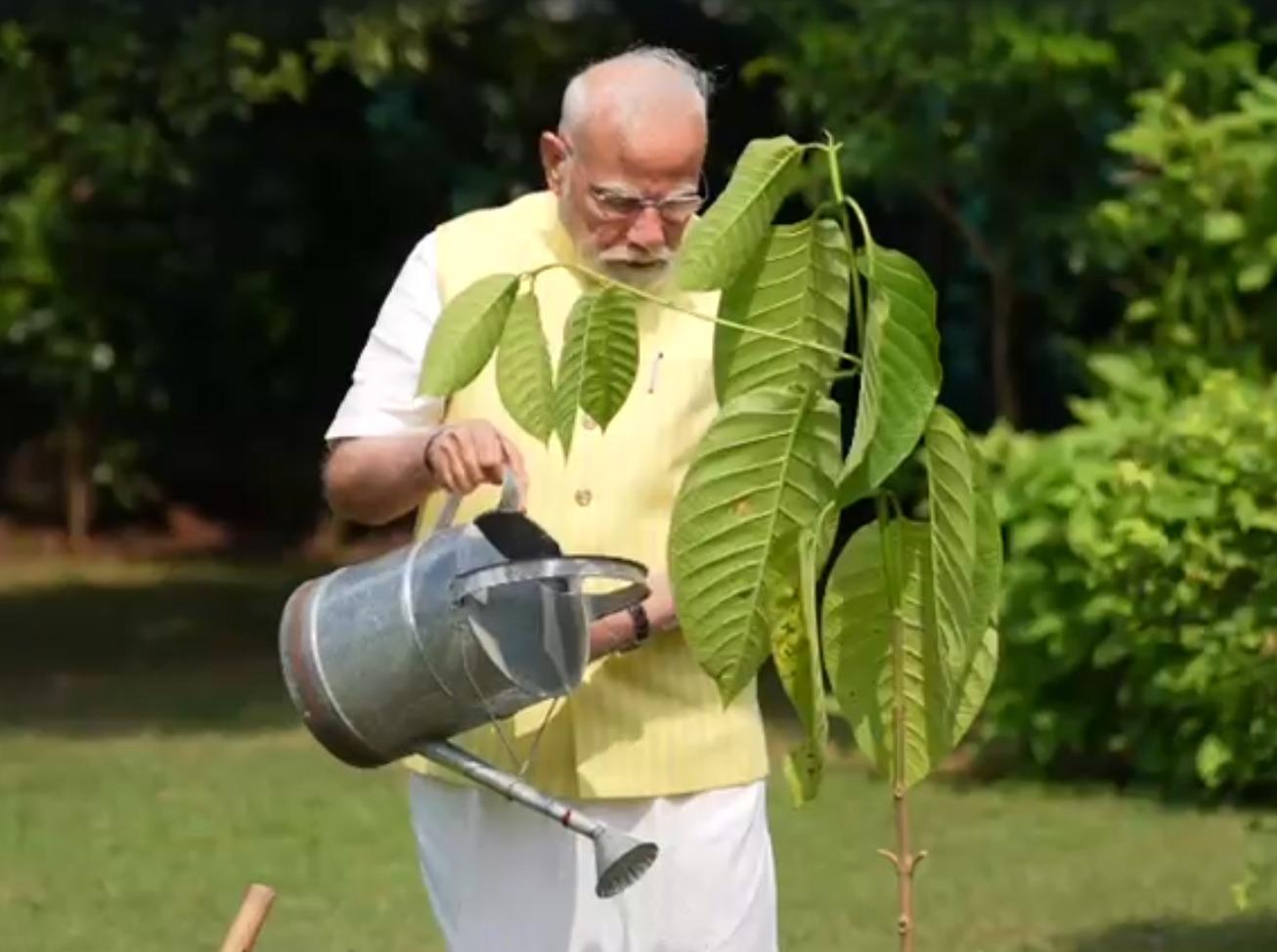 PM Modi plants Kadamb sapling gifted by King Charles at his residence