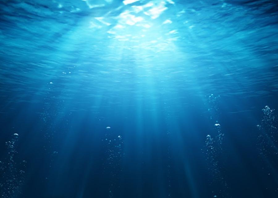 Australian study establishes new framework for deep-sea mining impact assessment