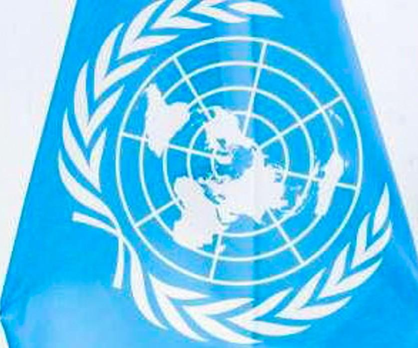 Investing in planetary health would deliver higher GDP, less poverty: UN