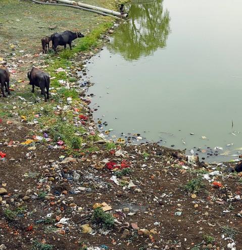 TN coastal authority slaps fine on NHAI for dumping excavated material in Odiyur Lagoon