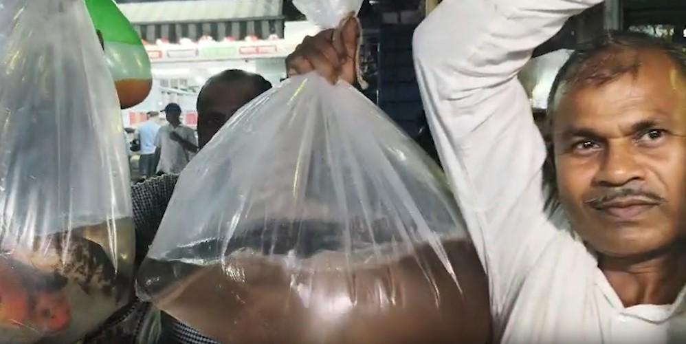 Nishad community presents fish to PM Modi for election win in Bihar