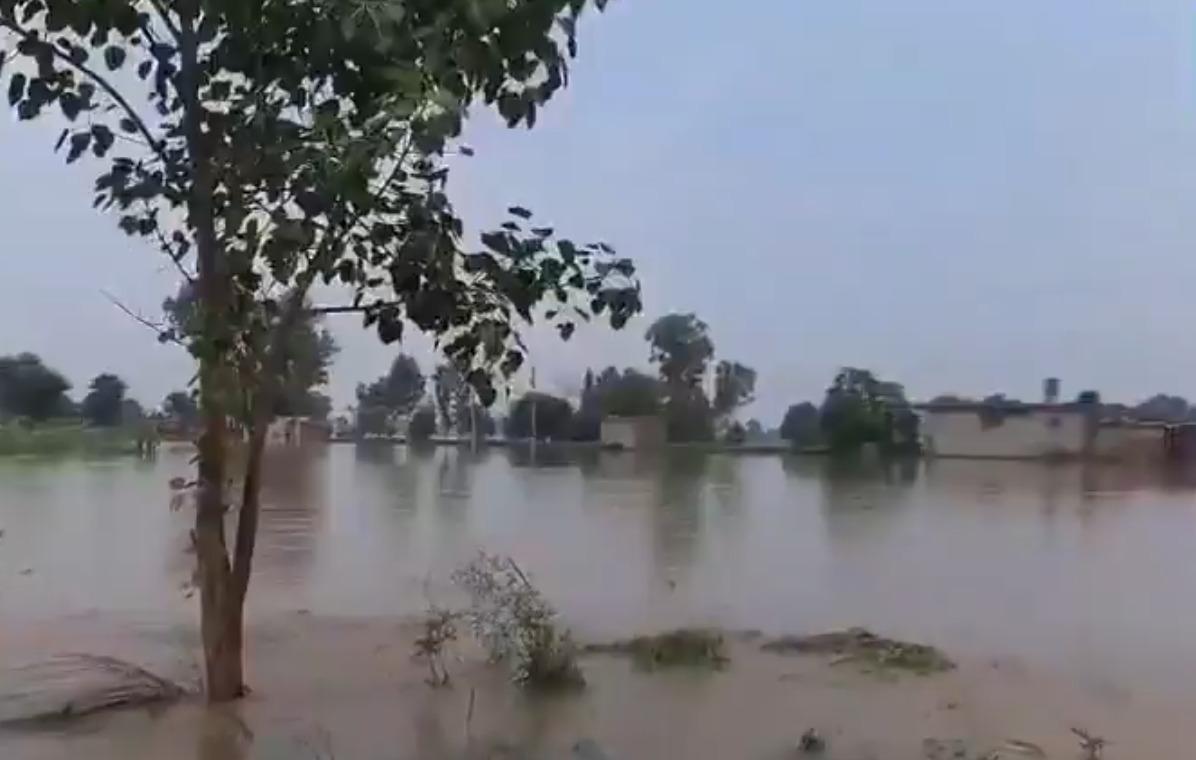 Punjab flood: Thousands spend night on rooftops; await relief material