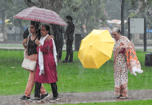 Light rain, thunderstorms in Delhi to continue relief from heatwave: IMD