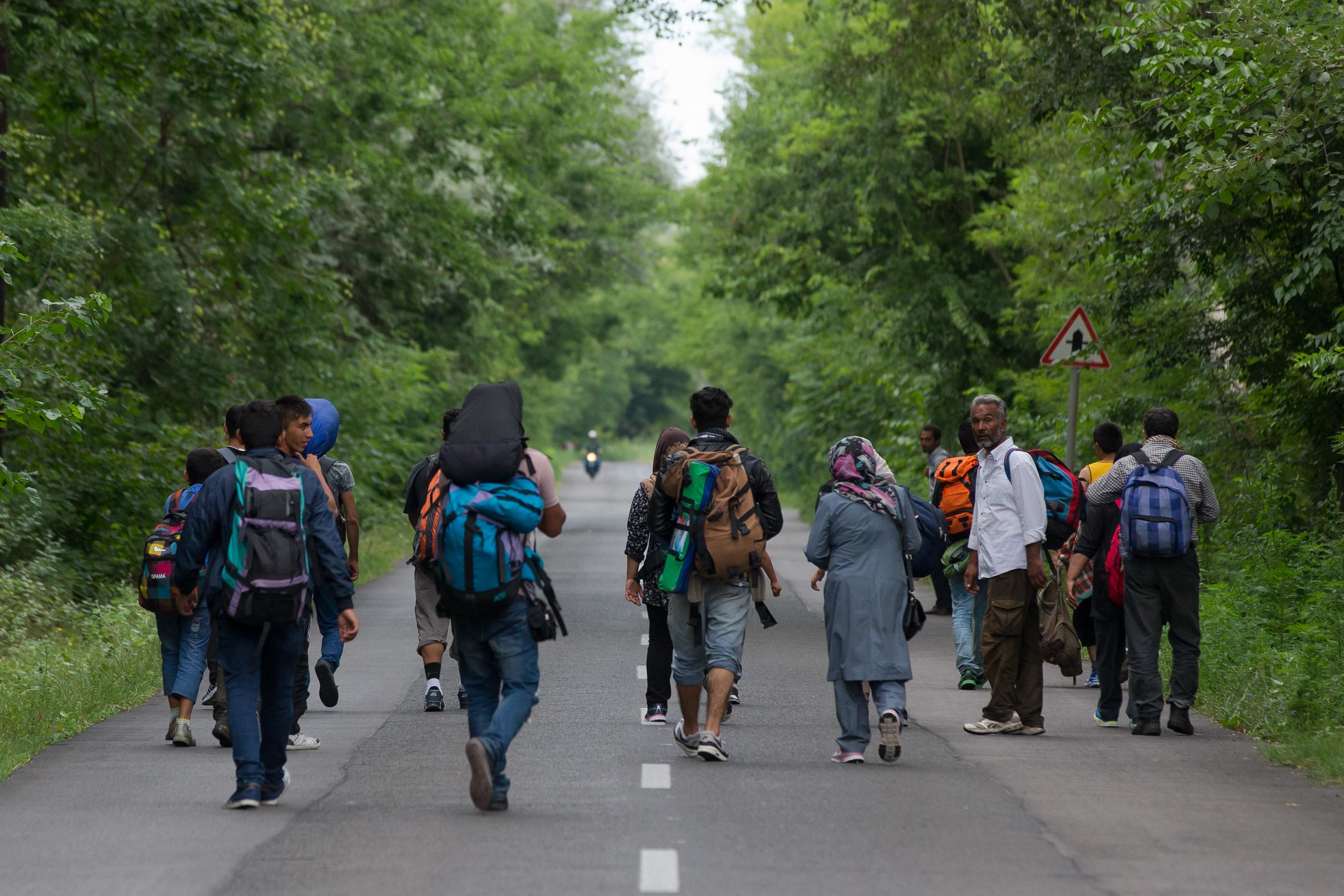 Delhi Police identify 548 illegally staying foreign nationals; sent for deportation in 2025