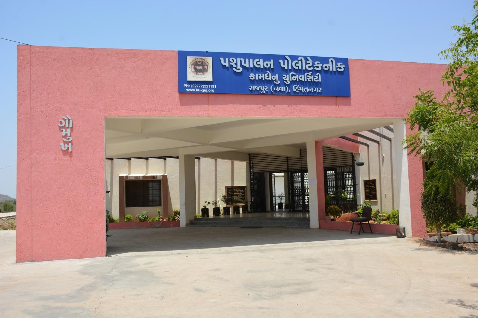 Gujarat to get 5th veterinary college in Himatnagar, admissions from next month