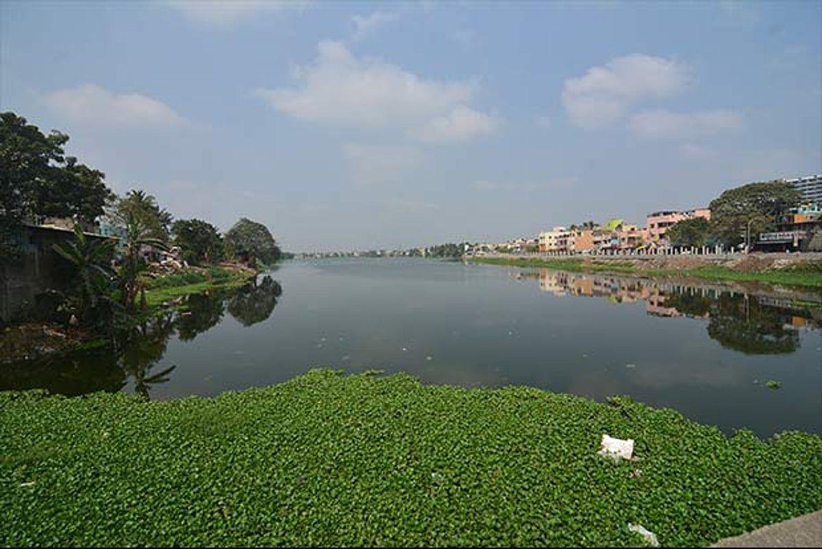 Sewage discharge into storm water drain pollutes Velachery lake; residents allege official apathy