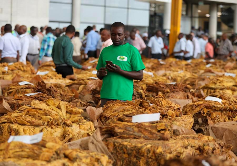 Parties to WHO tobacco protocol adopt steps to boost cooperation against illicit trade