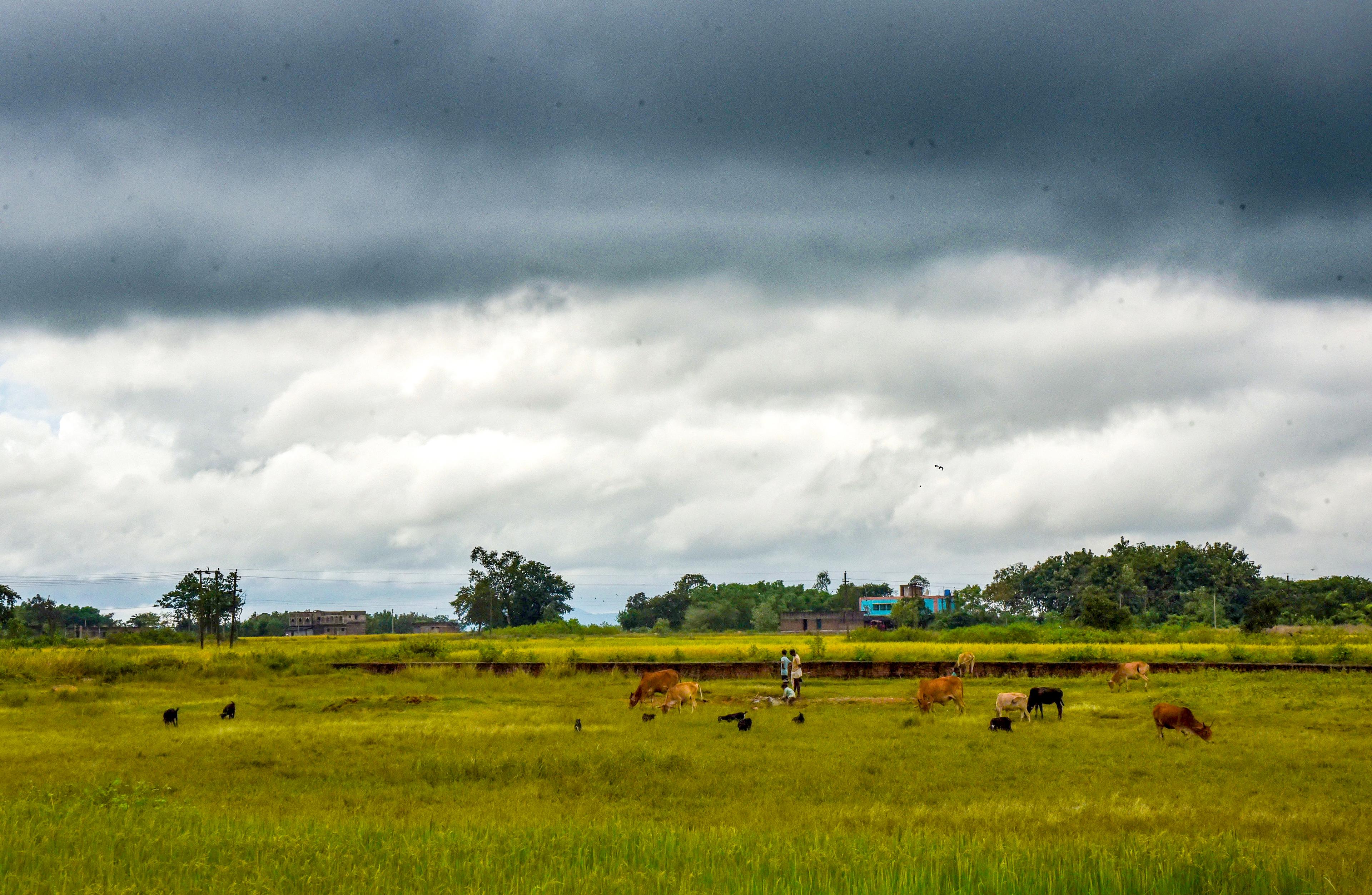 Met Office predicts rain across West Bengal till Monday