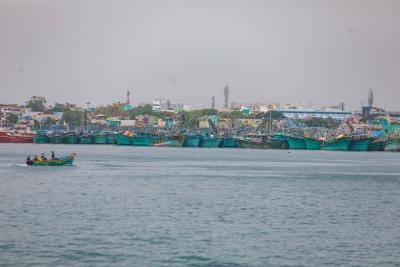 Boats return with bumper catch after 61-day fishing ban ends in TN