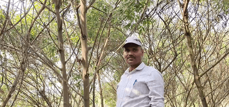 Farmer Amarendra's success in pigeon-pea cultivation inspires rural Bihar
