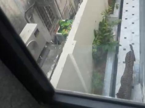 Leopard spotted again in Jaipur; locals in fear as forest officials continue search