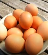 Eggs safe for consumption; cancer risk claims misleading, not scientific, says FSSAI