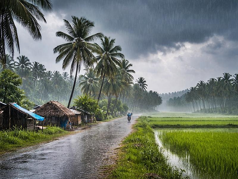 Parts of Tamil Nadu likely to receive rain over next week: IMD