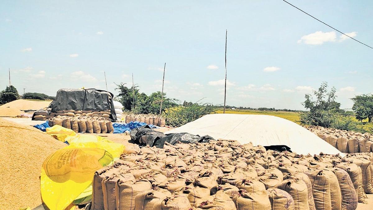 TN govt steps in to settle Rs 143 crore dues to farmers after NCCF delays payment