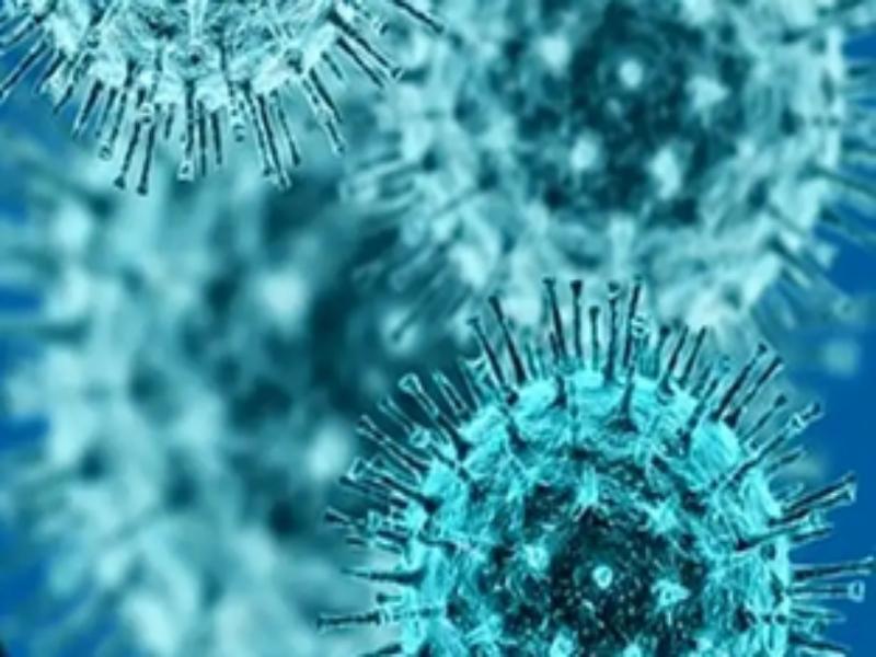 Manipur records over 240 Covid cases amid declining positivity rate