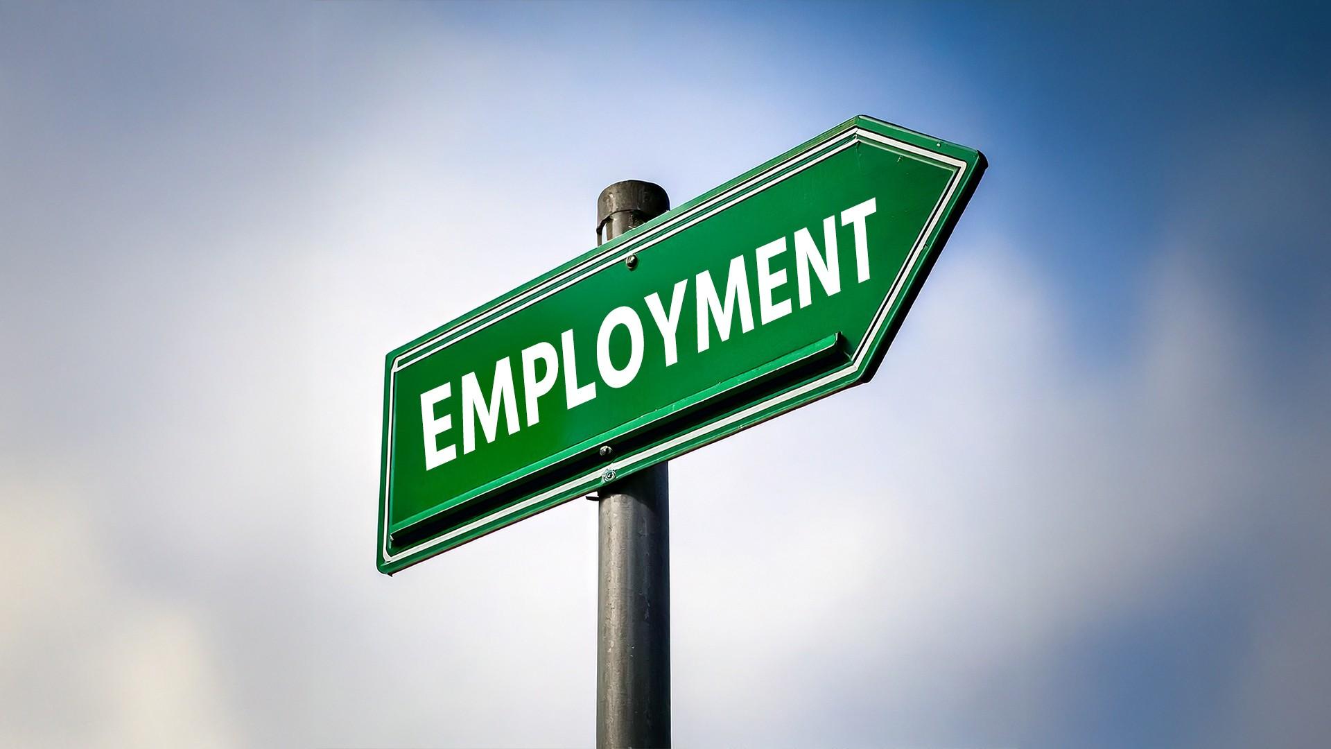 Hiring intent in India steady at 42 pc for July-September period: Report