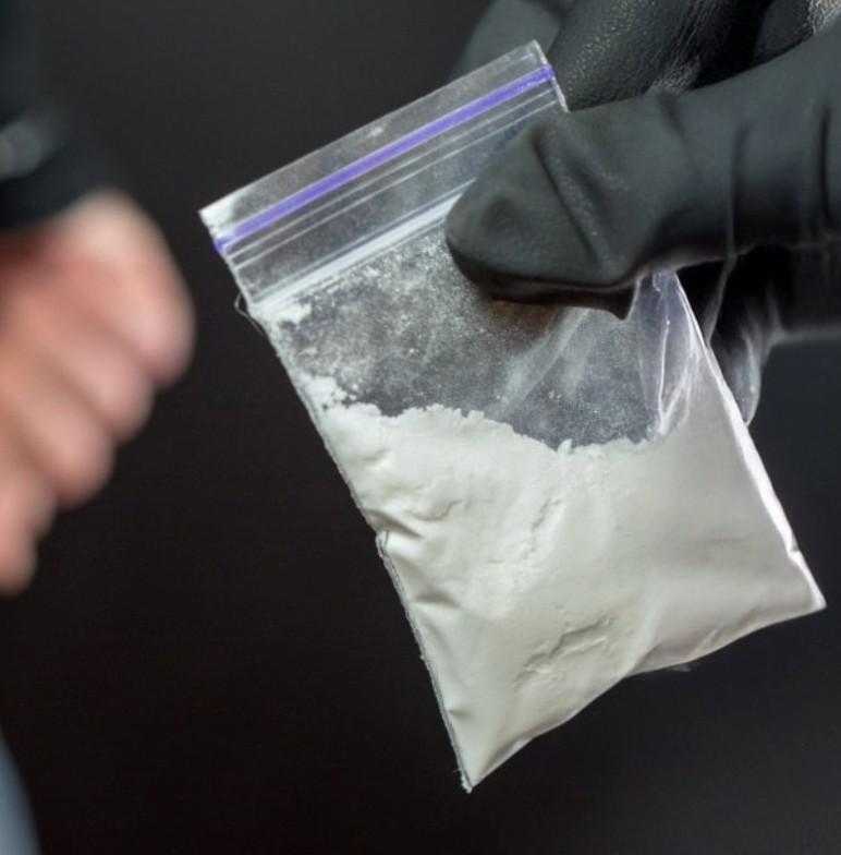 Chinese nationals accused of smuggling agroterrorism pathogen into US