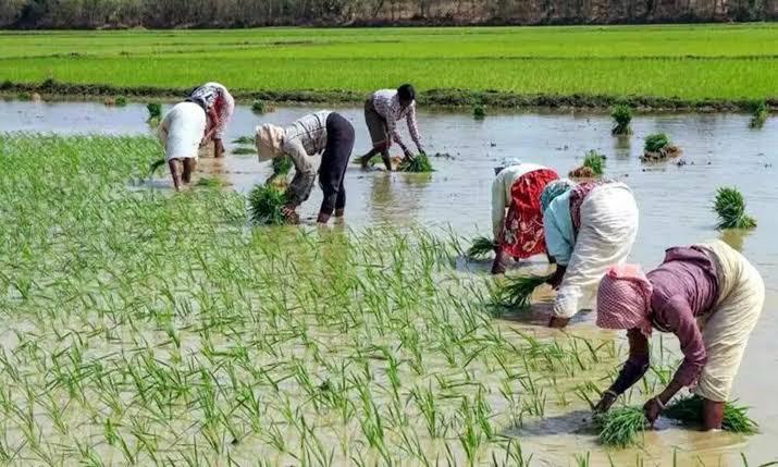 TN farmers urge CM Stalin to ensure release of pending Cauvery water from Karnataka