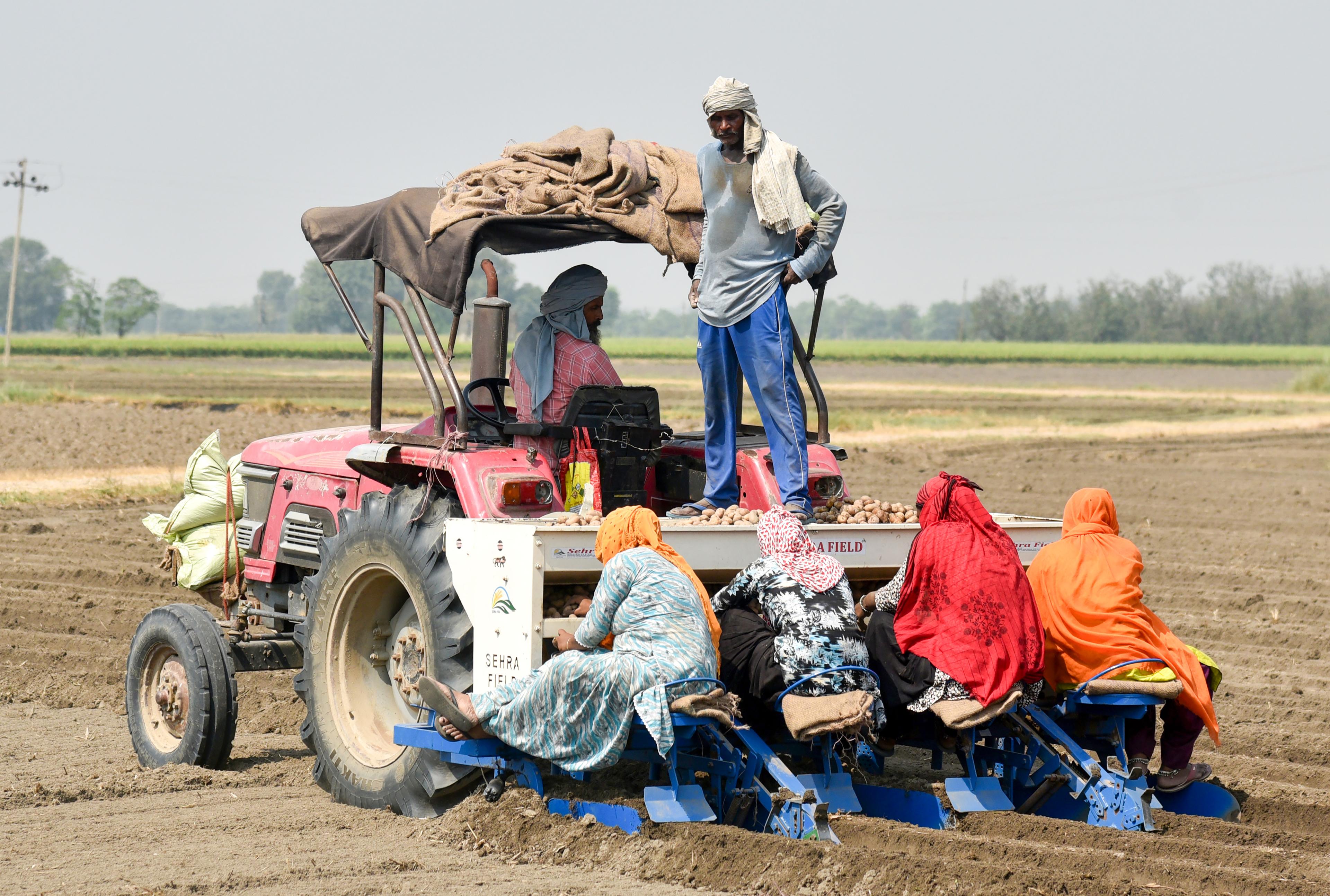 Labour force participation stable in 2025, unemployment among urban female declines: Govt