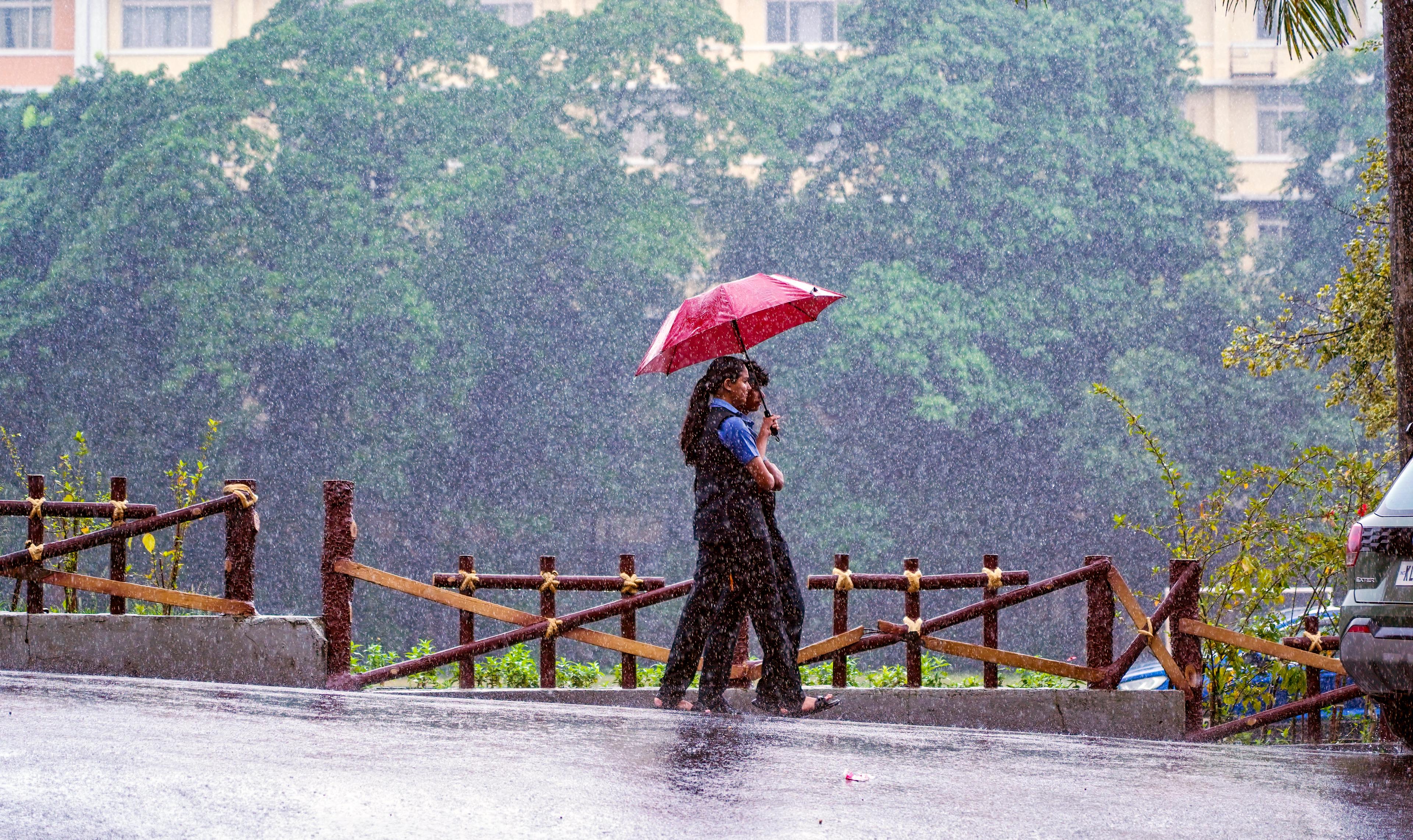 Heavy rain to persist in Kerala; IMD issues yellow alert for multiple districts