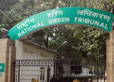NGT transfers suo moto case on Karedu land dispute to Southern Zone Bench