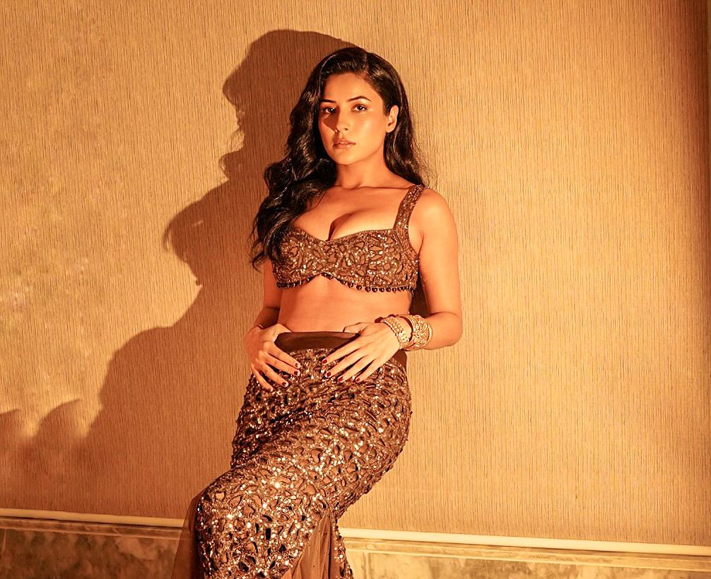 “Shame on You”: Fans troll Shehnaaz Gill for "forgetting" Sidharth Shukla on his death anniversary