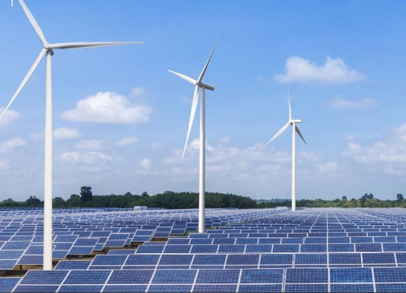 India's renewable sector resilient amid healthy capital structure, adequate liquidity: Report