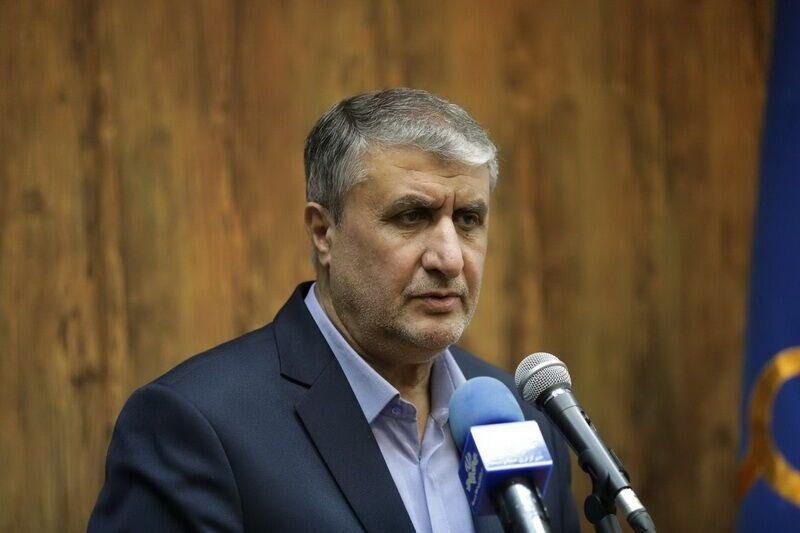 Iran's atomic chief urges IAEA to end 'inaction,' condemn Israeli attacks