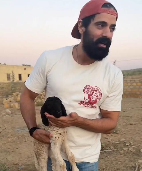 Mohit Malik rescues lone baby sheep on highway, Raveena Tandon reacts