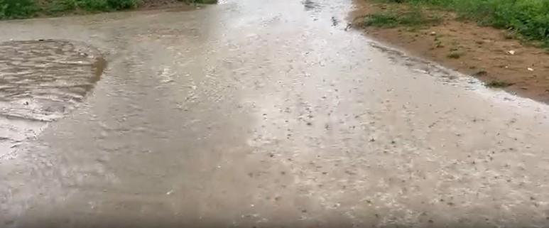 Gujarat records over 53 pc of seasonal rainfall, NDRF and SDRF teams on standby