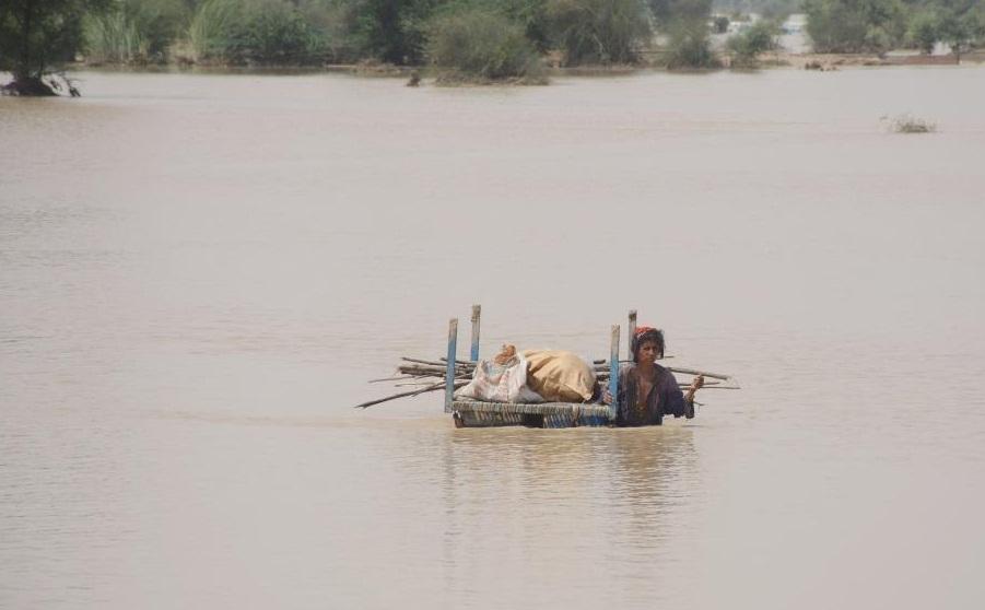 221 killed as monsoon rains wreak havoc in Pakistan