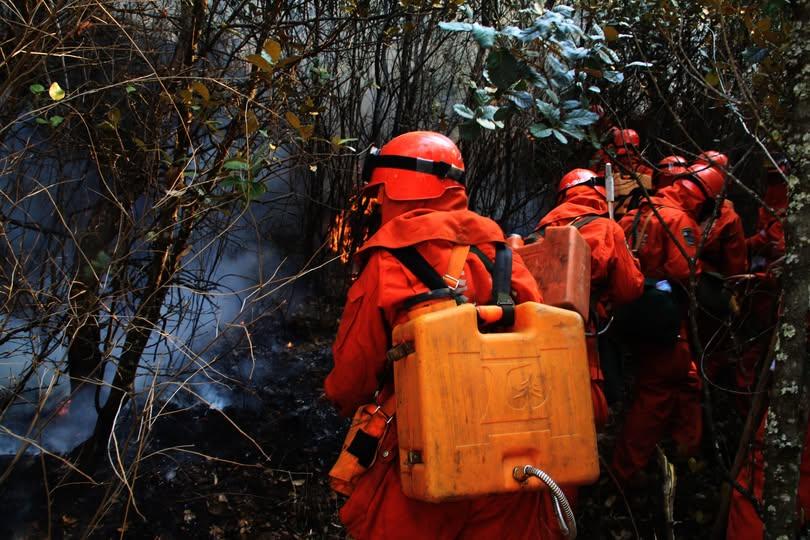 Wildfire rages for nearly 2 days in China's Yunnan