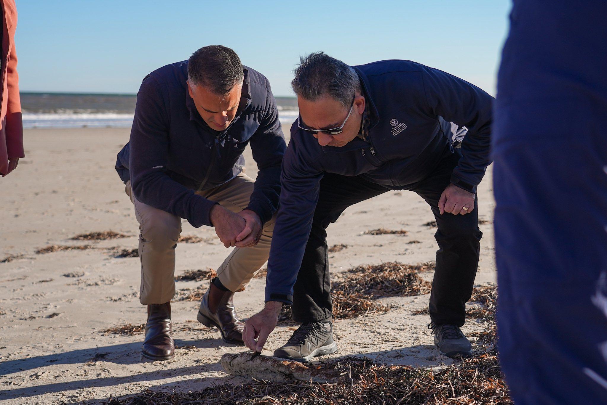 Australian govt to fast-track assessment of toxic algae outbreak on marine species