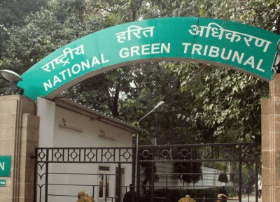 NGT orders action over failed tree plantations, alleged fund misuse in Rajasthan Forest Areas
