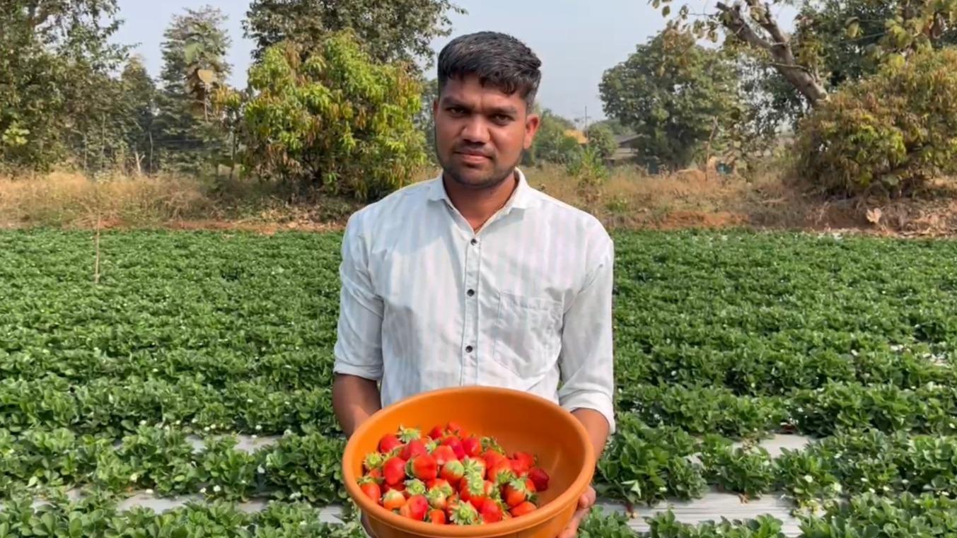 Gujarat: Dang farmers migrate from traditional to modern farming, incomes rise