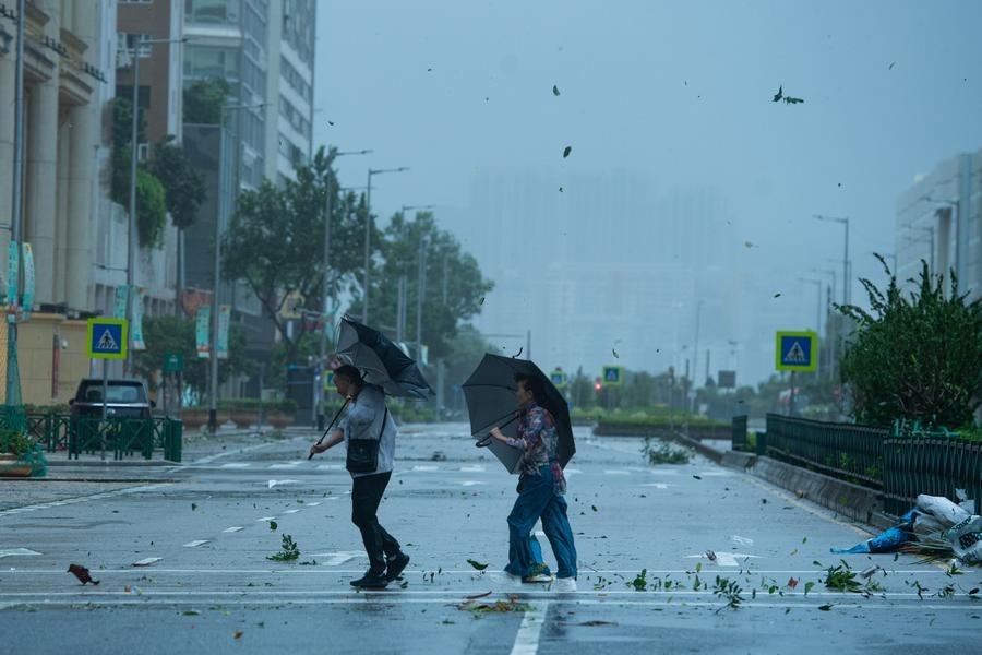 Typhoon Peipah leaves 24 wounded in Japan's Shizuoka prefecture