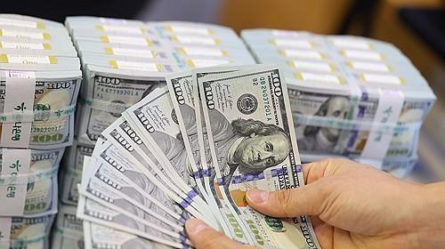 Daily foreign exchange in S. Korea turnover hits fresh high in Q3: BOK