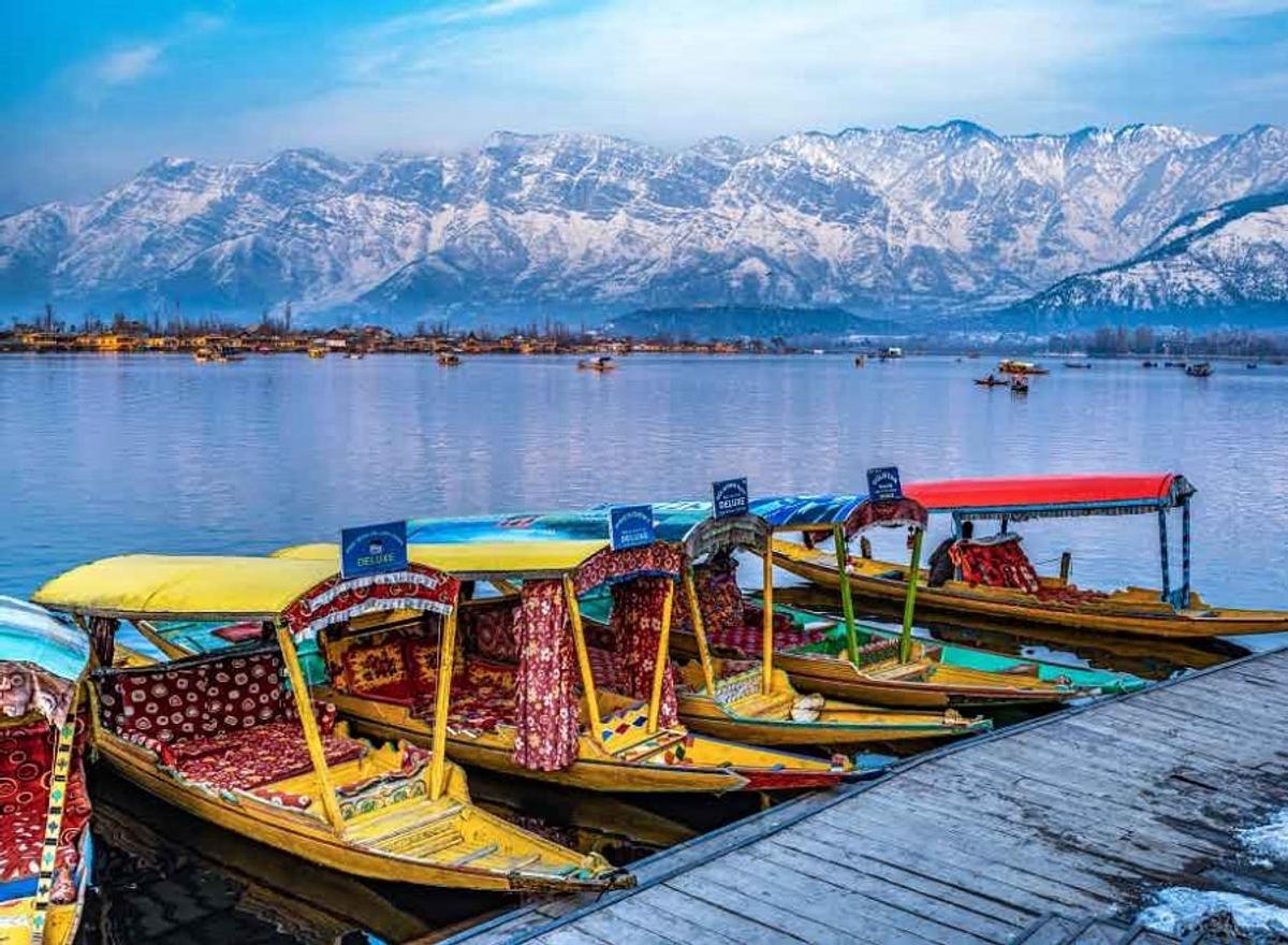Tourists Enjoy Shikara Rides on Dal Lake