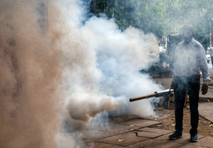 TN tops dengue cases in 2025, death toll remains low due to strong surveillance