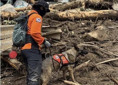 South Korea: Death toll rises to 23 after heavy rains, landslides